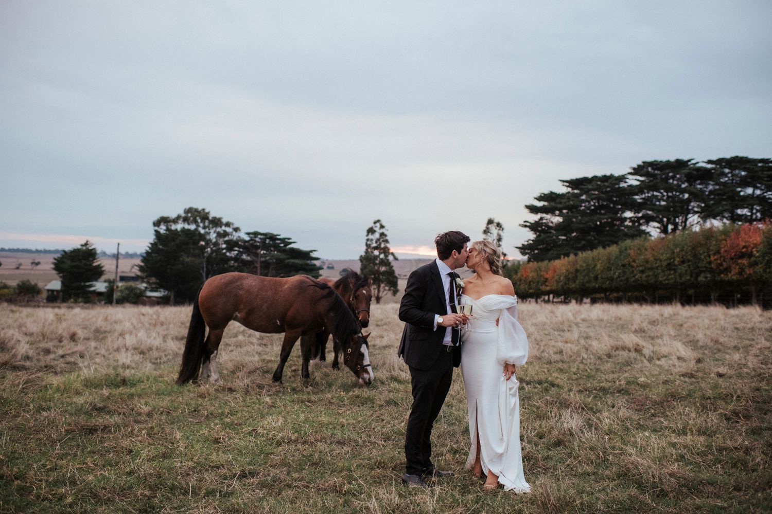 Wedding couple poses in a rustic field with horses grazing in the background.