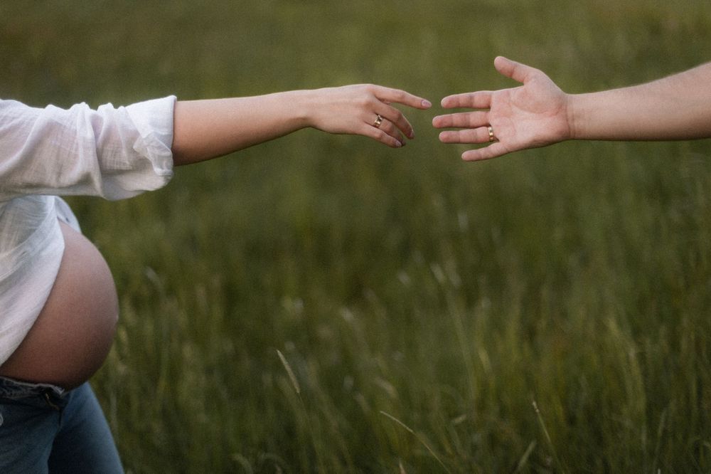 Two hands reaching toward each other across a meadow of tall grass.