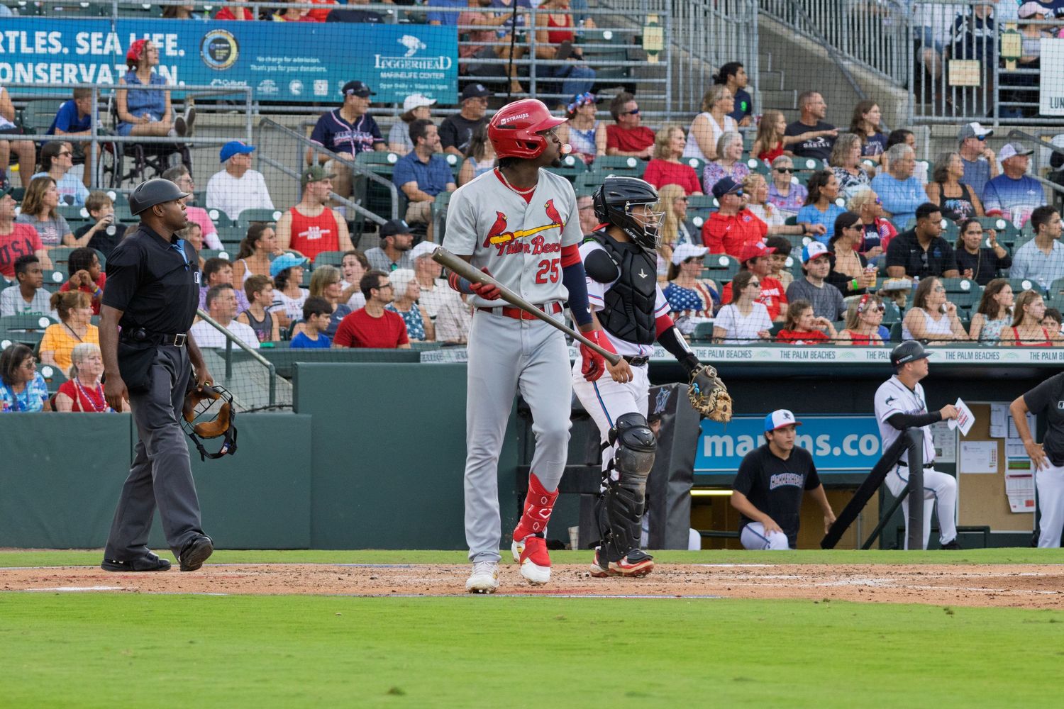 Baseball action sequence showing players and crowd during game.