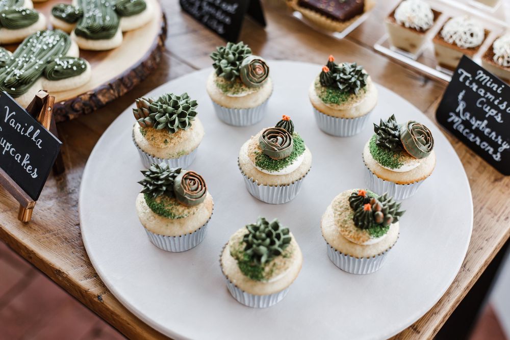 Elegant succulent themed cupcakes decorated with green frosting and fondant on white serving plates at a bakery display.