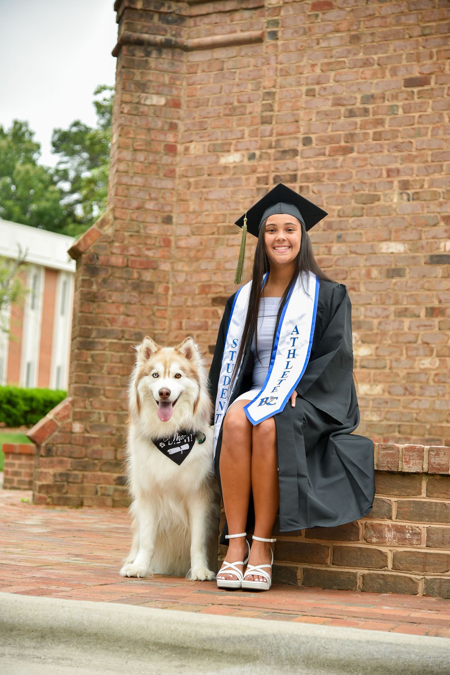 Senior session, outdoor, city, bright and airy, graduation, sports, dogs