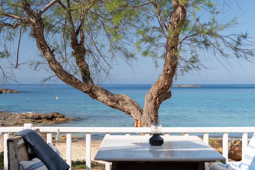 Beach cafe table with ocean view through curved tree branches and white railing overlooking turquoise Caribbean waters.