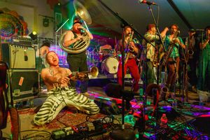Four linked images show colorful live music performances at a small venue with stage lighting and musical instruments.