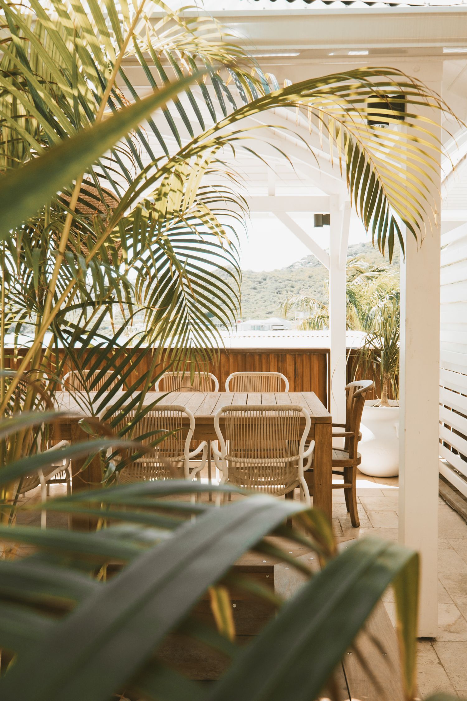Tropical patio with rattan furniture and palm fronds framing a bright outdoor dining area in natural light.