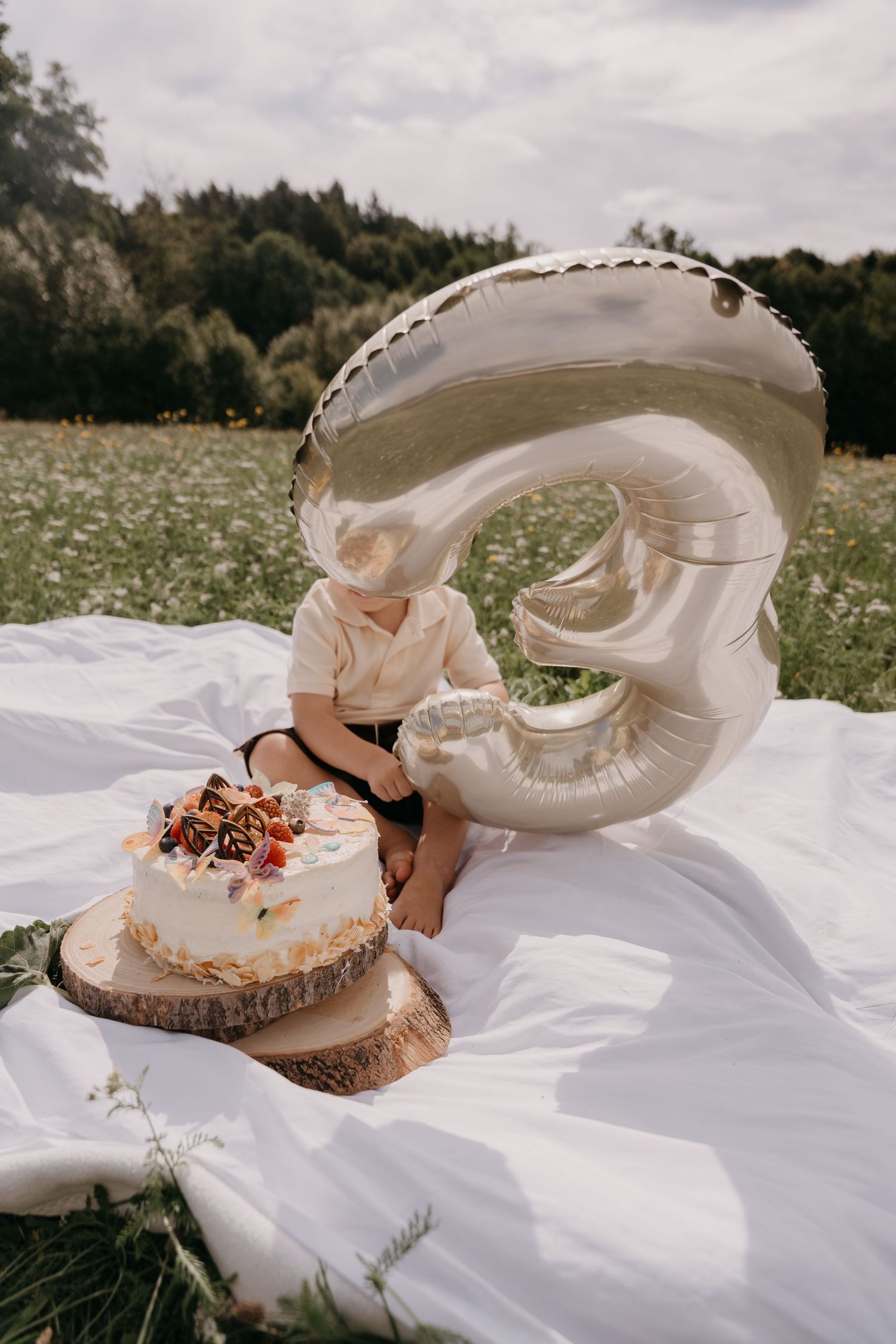 Eine Geburtstagsfeier im Freien mit einem Kuchen auf einem Holzstück und einem großen silbernen Luftballon mit der Zahl 3 auf weißem Stoff.