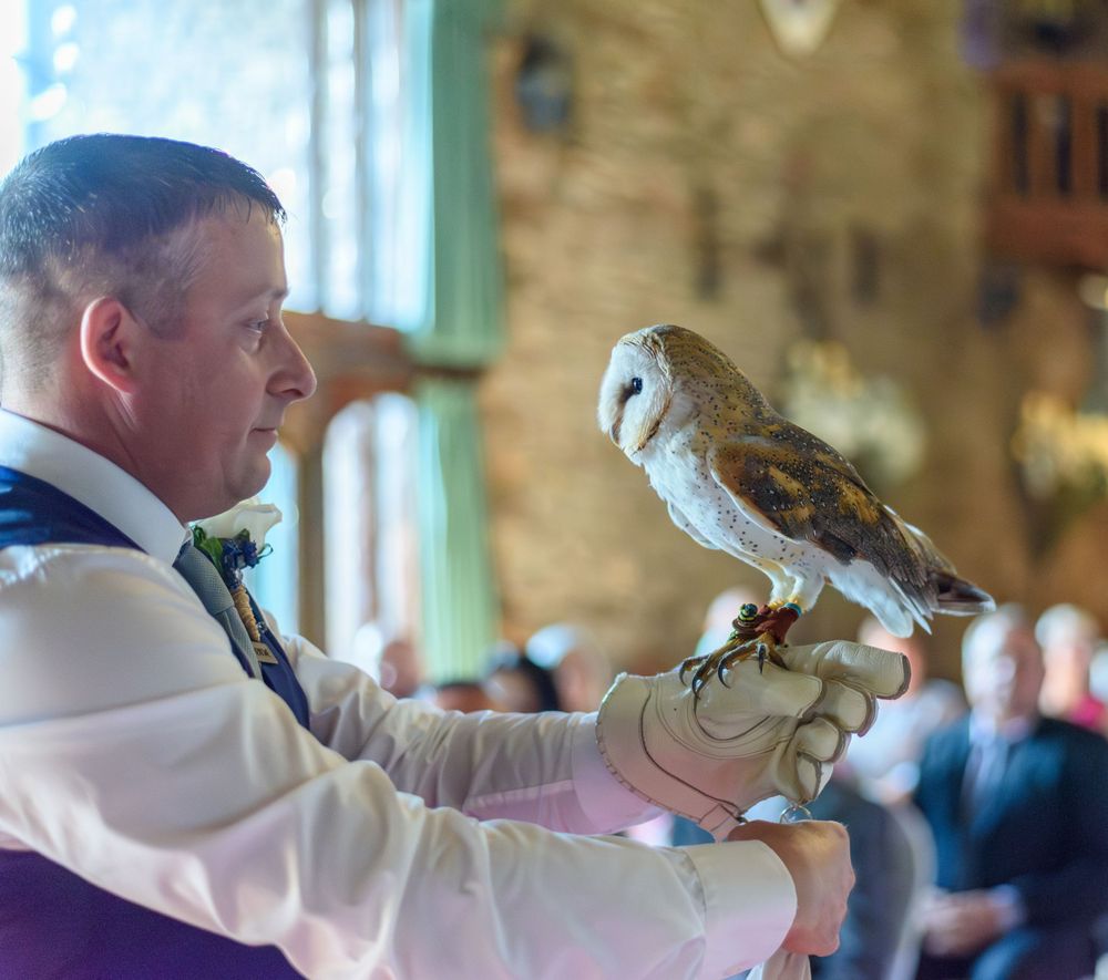 Groom and owl