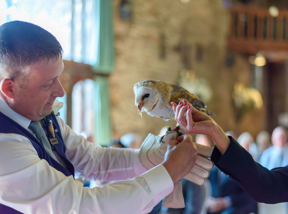 Groom and Owl