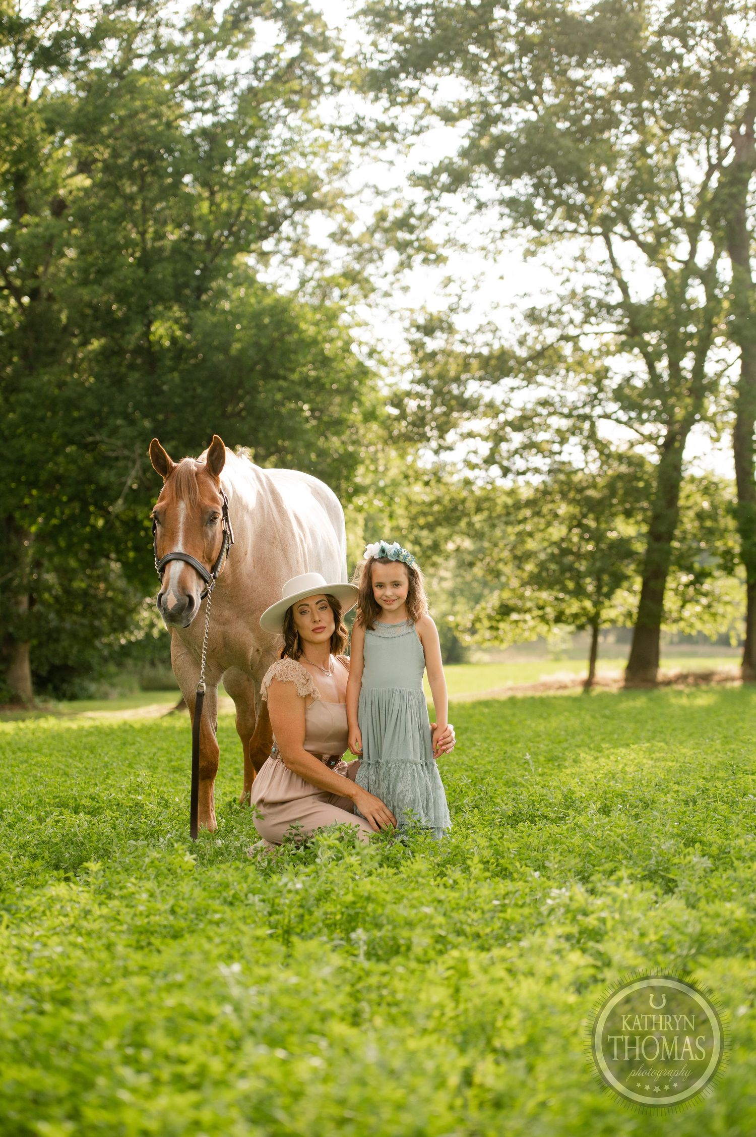 Beautiful palomino horse standing on grassy field with trees in background during golden hour.