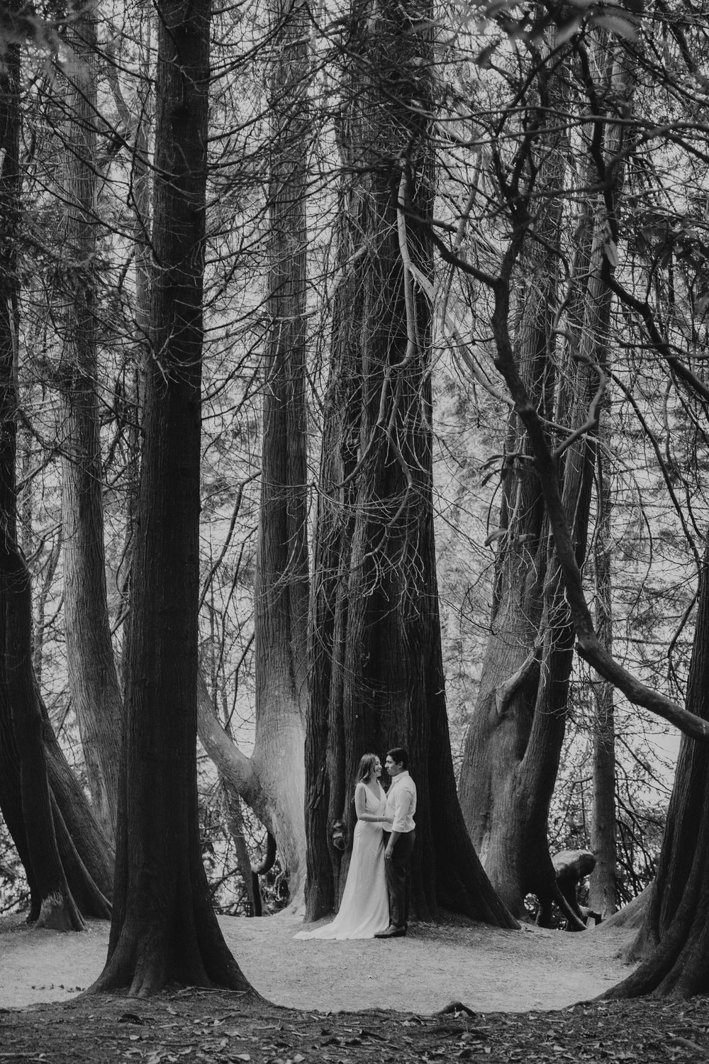 Natural engagement photos of a couple standing among tall trees at Stourhead National Trust