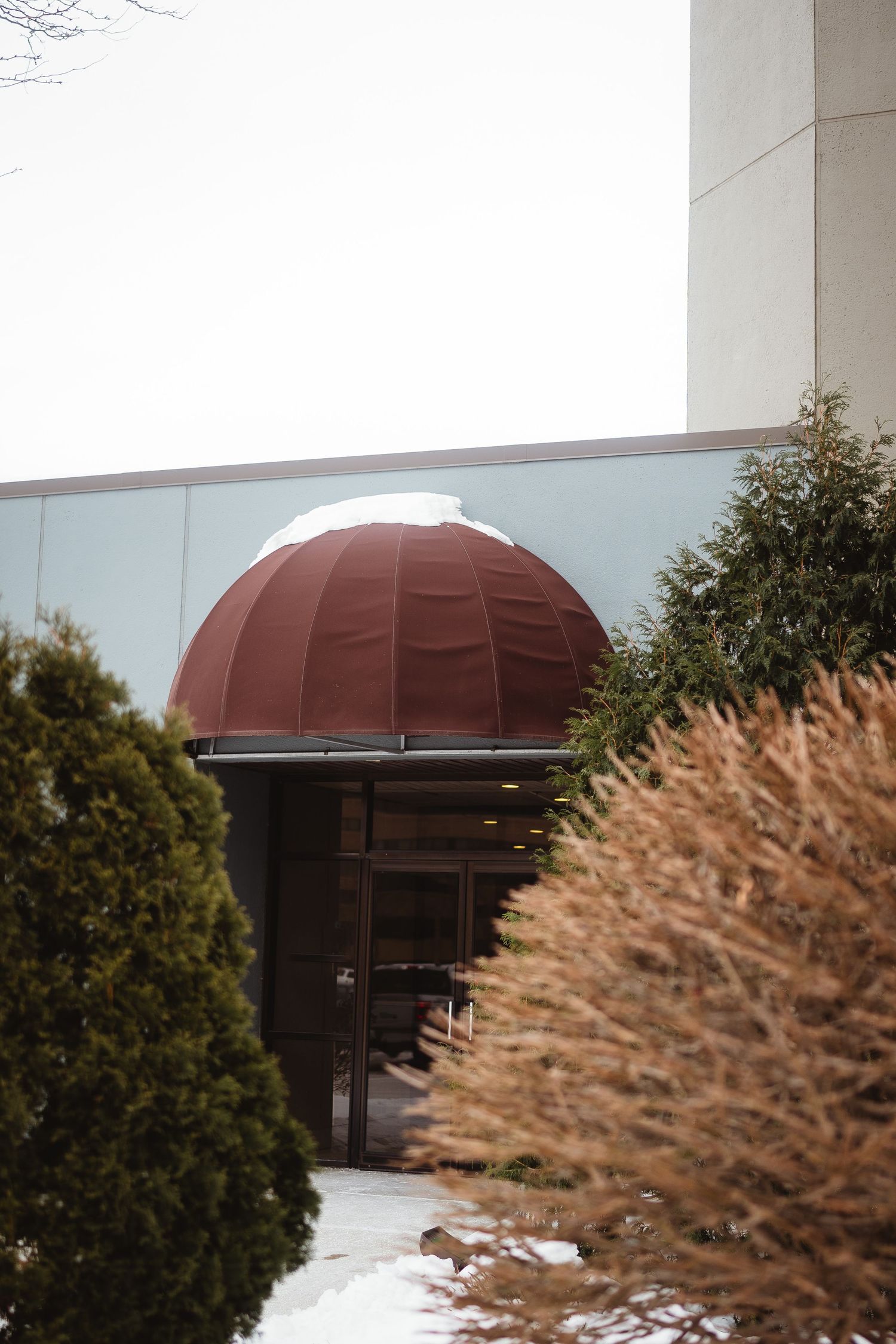 A brown dome-shaped architectural feature sits atop a building entrance with winter foliage in the foreground.
