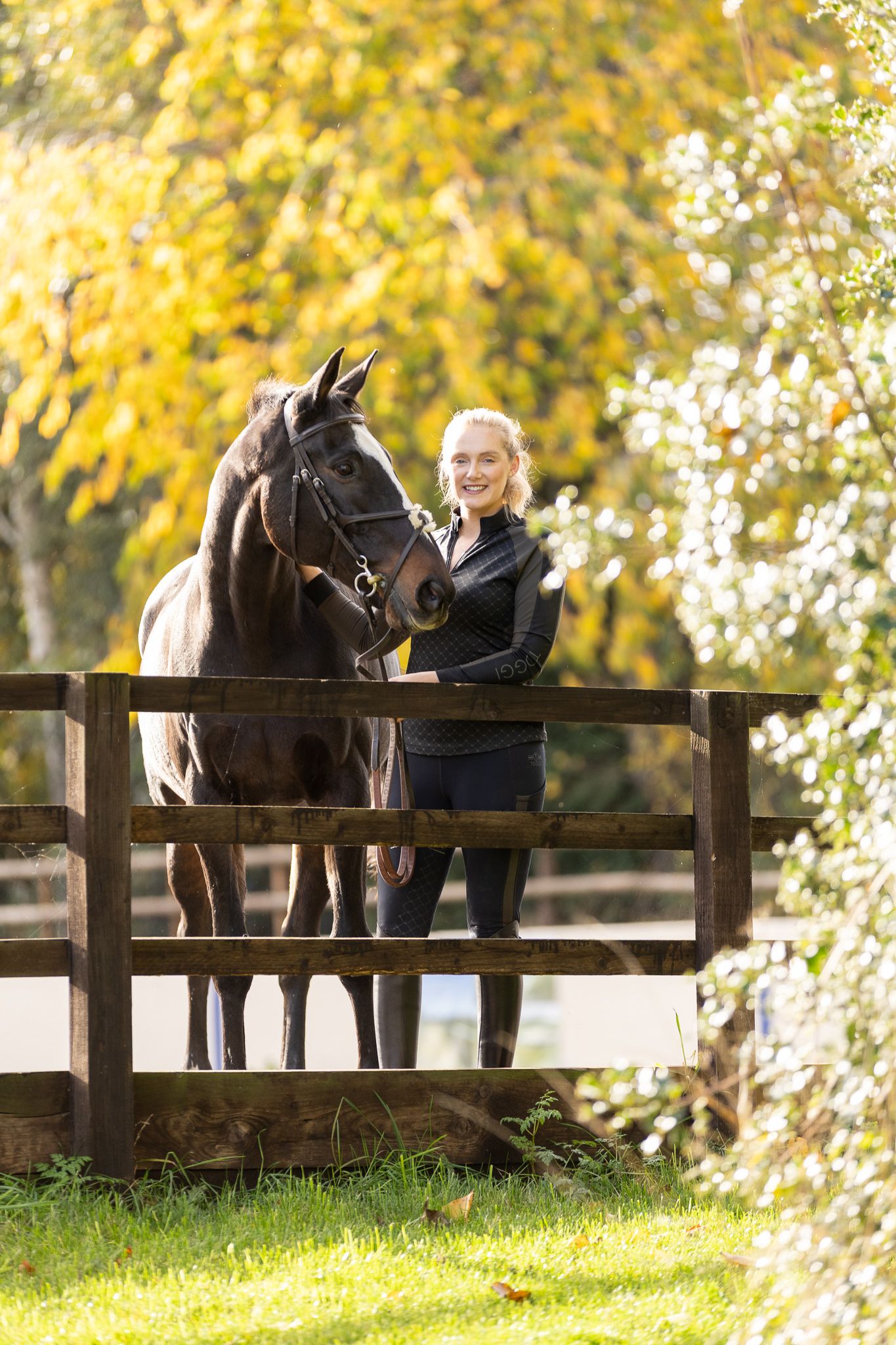 White horse and rider walk through a vibrant field of blooming sunflowers on a sunny summer day.
