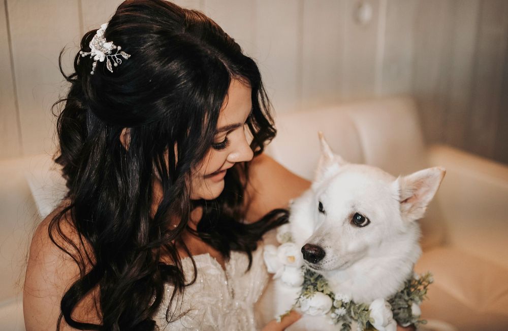 Editorial photo of bride cuddling her dog, capturing joyful and heartfelt wedding day energy.