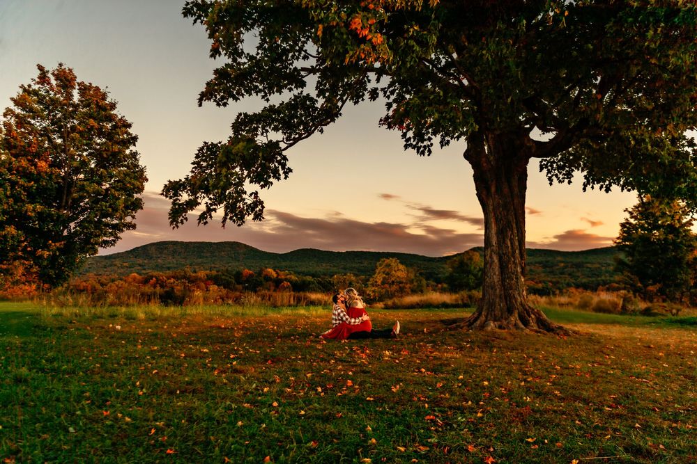 A tranquil autumn scene under a large tree with fallen leaves scattered across a grassy hillside at dusk.