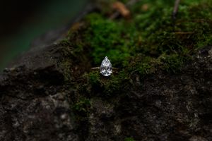 A sparkling diamond engagement ring sits on moss-covered stone in a moody nature setting.
