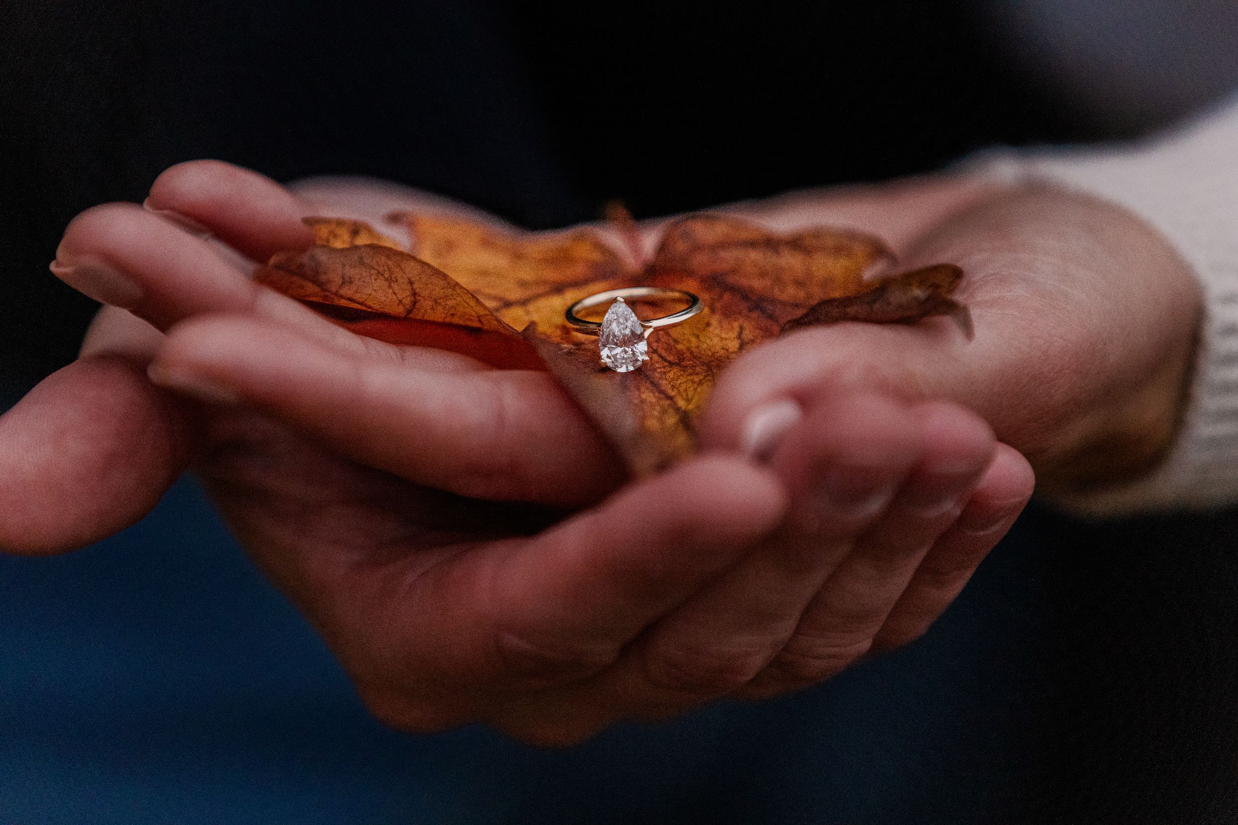 Hands passing a golden-brown croissant between them in a sequence of connected photos.