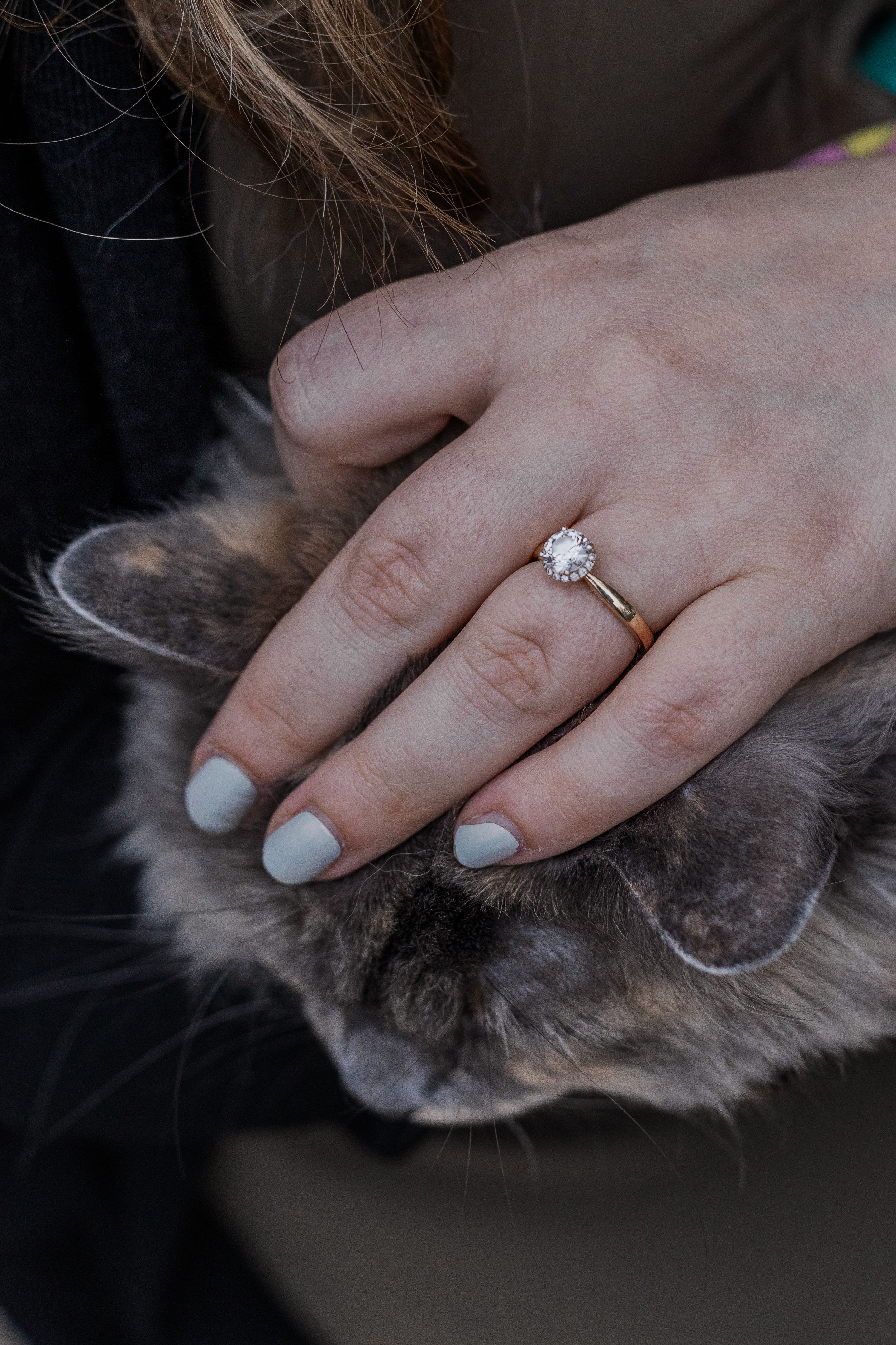 Hand wearing light blue nail polish and diamond engagement ring while petting a fluffy grey cat.