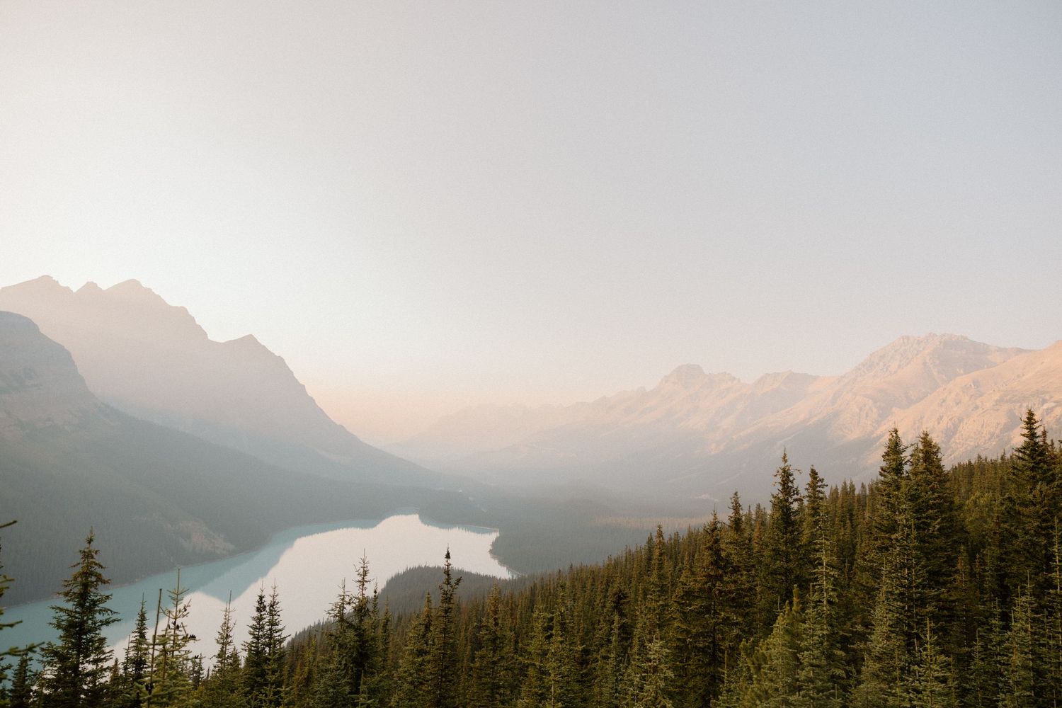 A scenic panoramic view of snow-capped mountains and evergreen forests during sunset at Glacier National Park.