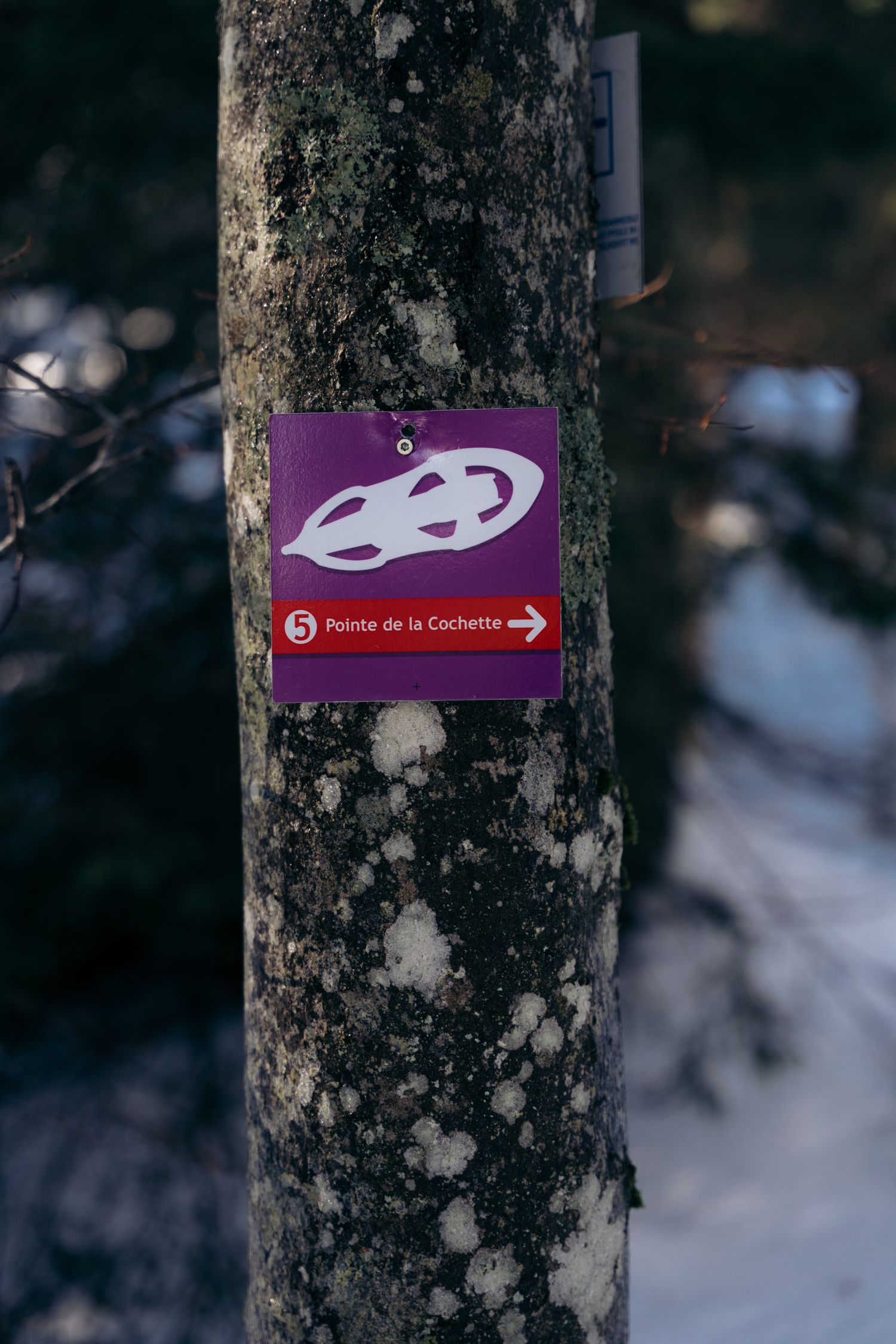 panneau indiquant l'itinéraire en raquettes de la pointe de la cochette au désert d'entremont en chartreuse