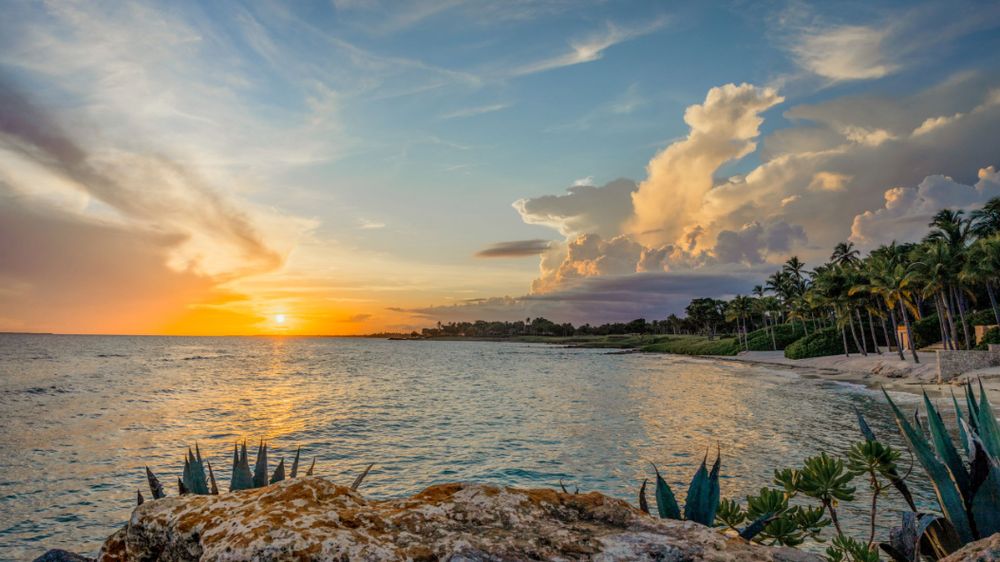 Vibrant sunset over the ocean with palm trees silhouetted against an orange and purple sky. Landscape.