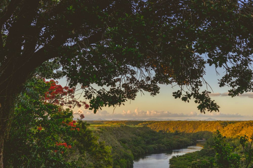 A panoramic view of a winding river cutting through lush green farmland and forests during golden hour. Landscape.