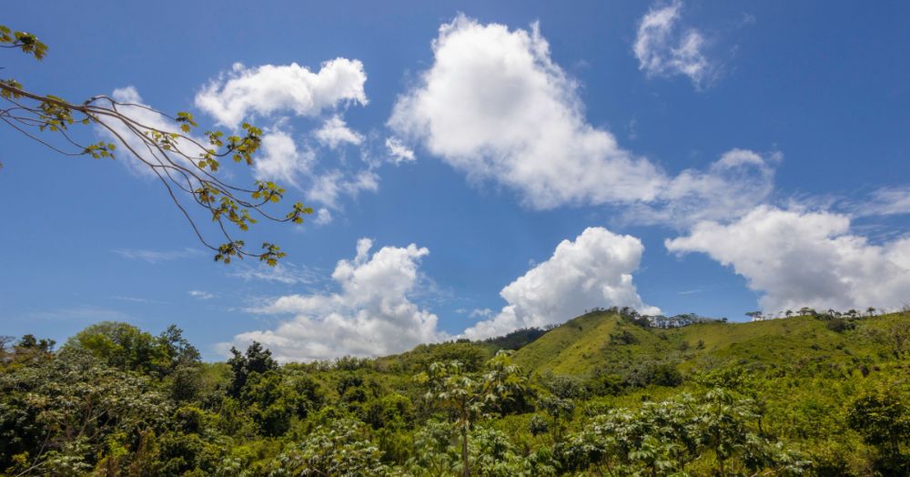 Lush green hills and tropical vegetation under puffy white clouds and bright blue sky in a Caribbean landscape. Landscape.