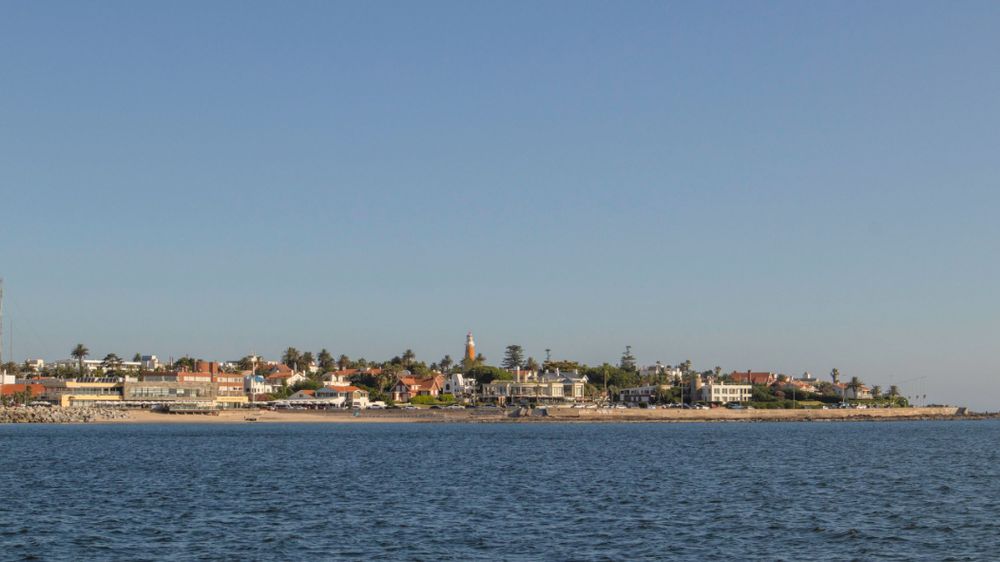 A panoramic view of the coastline showing a beach town with buildings and palm trees along the waterfront. Landscape.