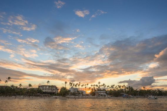 Stunning panoramic sunset view of Newport Beach harbor with boats and palm trees silhouetted against colorful clouds. Landscape.