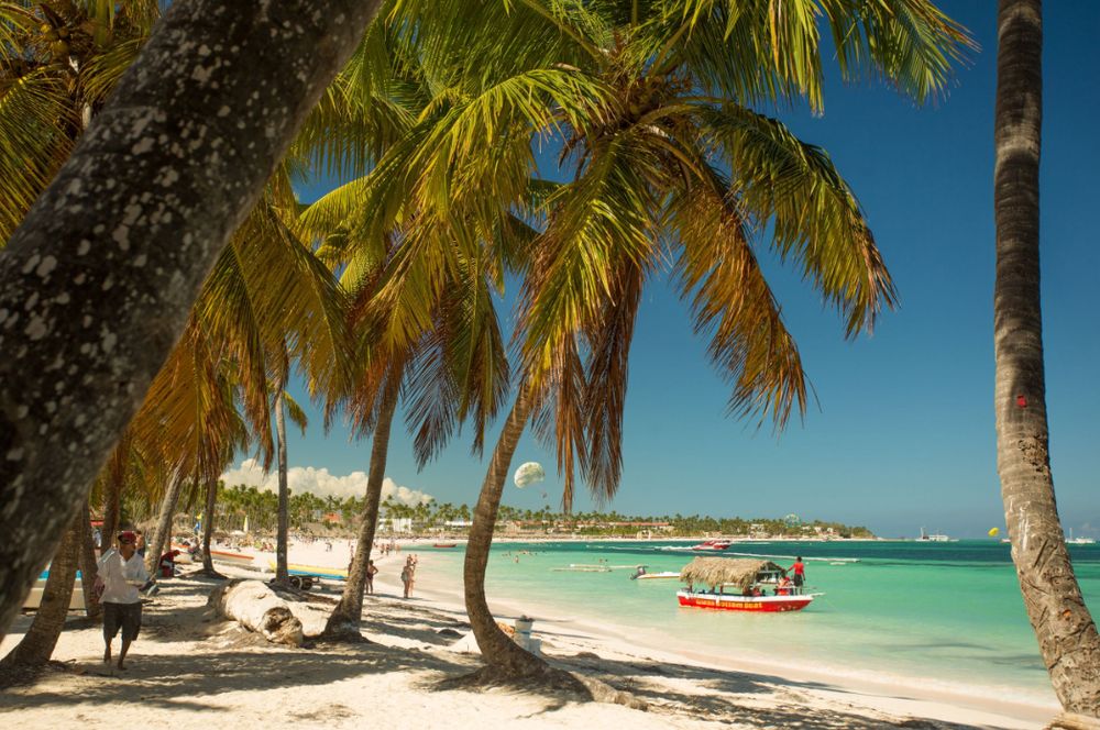 Panoramic view of a pristine tropical beach with swaying palm trees and turquoise waters stretching to the horizon. Landscape.