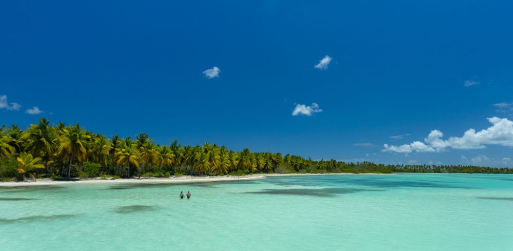 Panoramic view of tropical beach with crystal clear turquoise waters and palm trees along white sandy shoreline. Landscape.