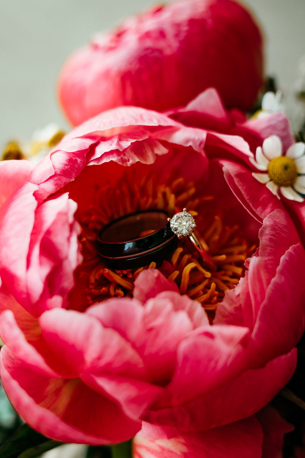 Close-up of diamond engagement rings nestled in vibrant pink peony flowers.