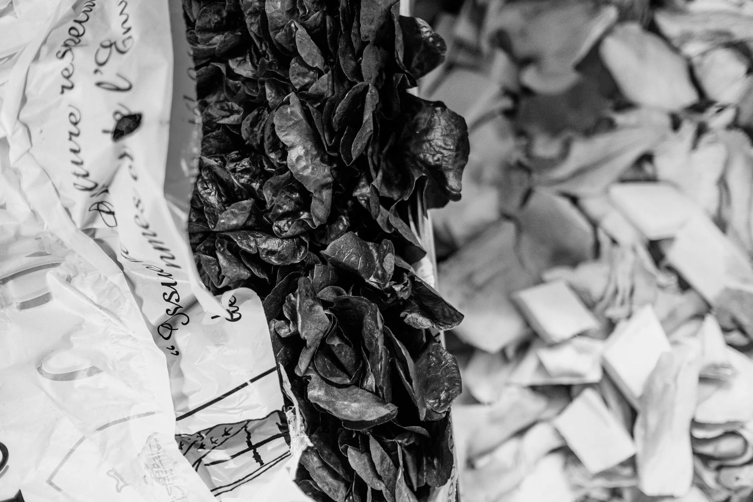 Black and white abstract pattern made from crumpled paper and shadows creating an artistic textural composition.