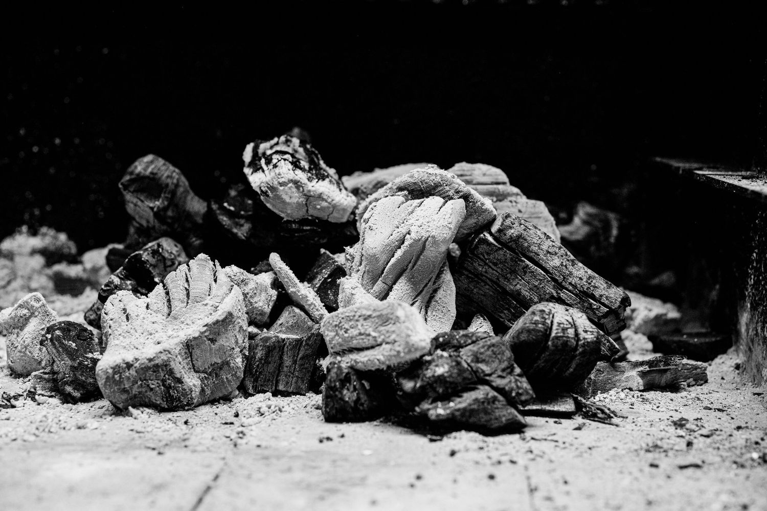Black and white photograph of decaying organic matter and debris scattered on rough ground in dark lighting.