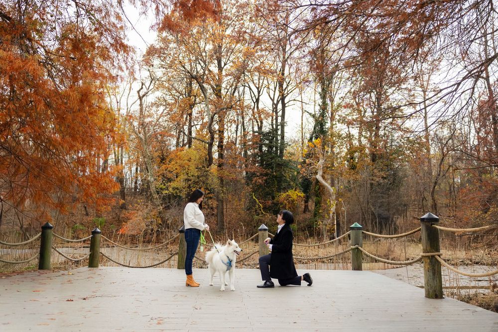 Winter photo shoot in snowy forest with trees and people gathered outdoors.