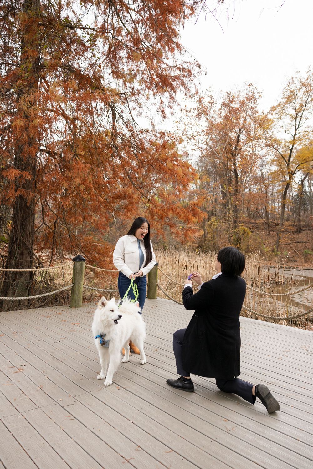 A series of candid moments captured on a wooden deck with fall trees in the background.