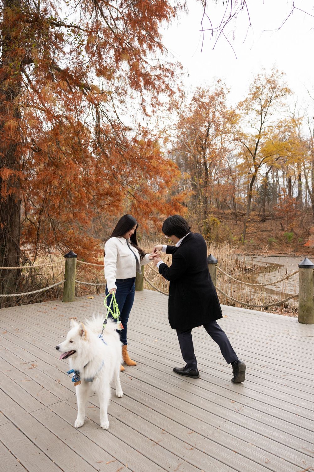 A playful sequence of photos showing a couple posing on a wooden boardwalk surrounded by autumn foliage.
