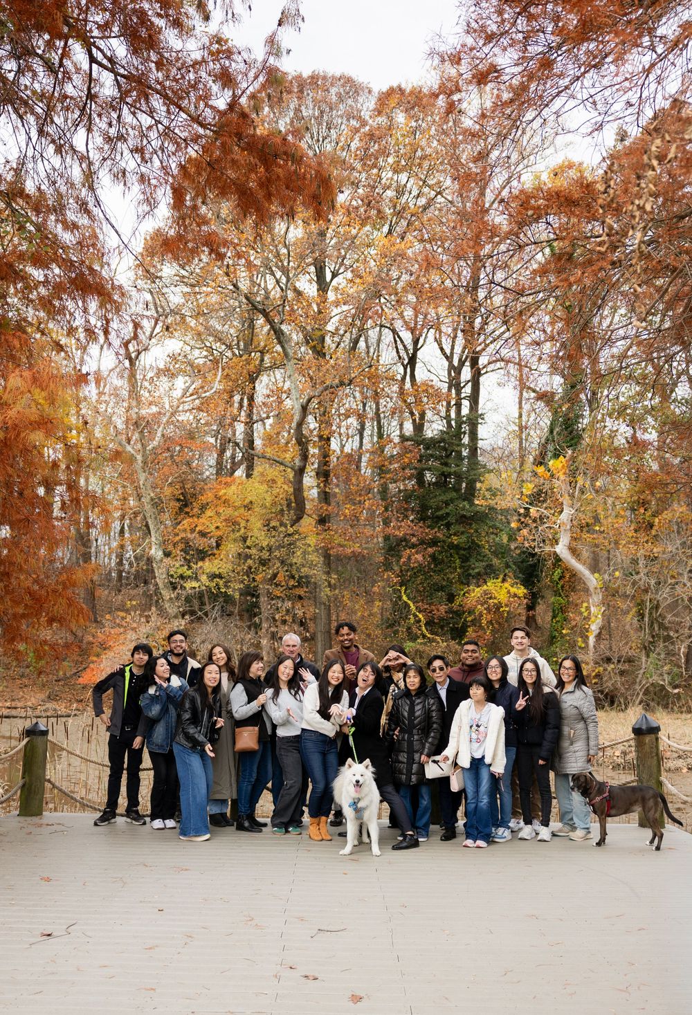 A large group photo of people gathered on a wooden boardwalk during autumn season.