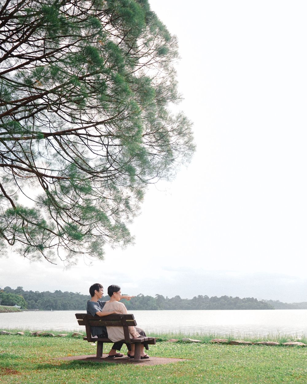 People sitting on wooden bench beside lake with large pine tree overhead creating peaceful lakeside scene.