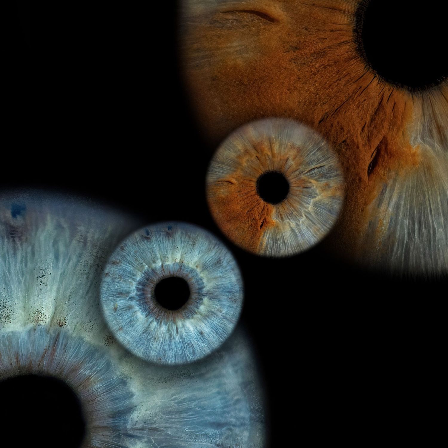 Close-up macro photograph of three human irises in blue and orange colors against a black background.