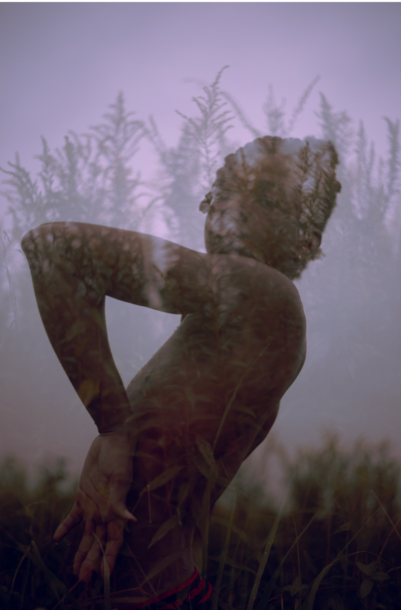 Silhouette of a figure posing against purple twilight sky and tall grass.