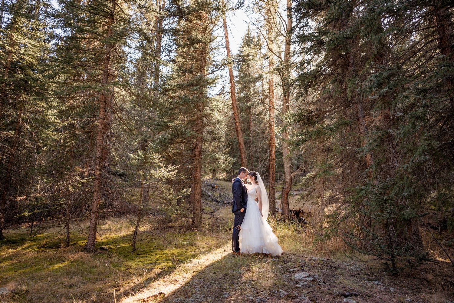 Mountain wedding ceremony with dramatic backdrop of golden hills and evergreen trees under blue sky.