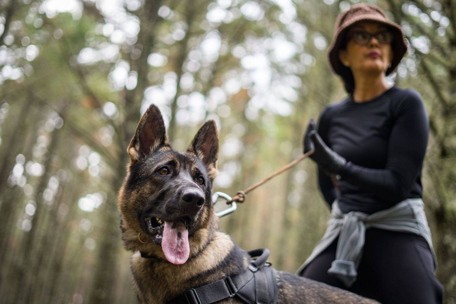 Saira and her GSD, Jess.