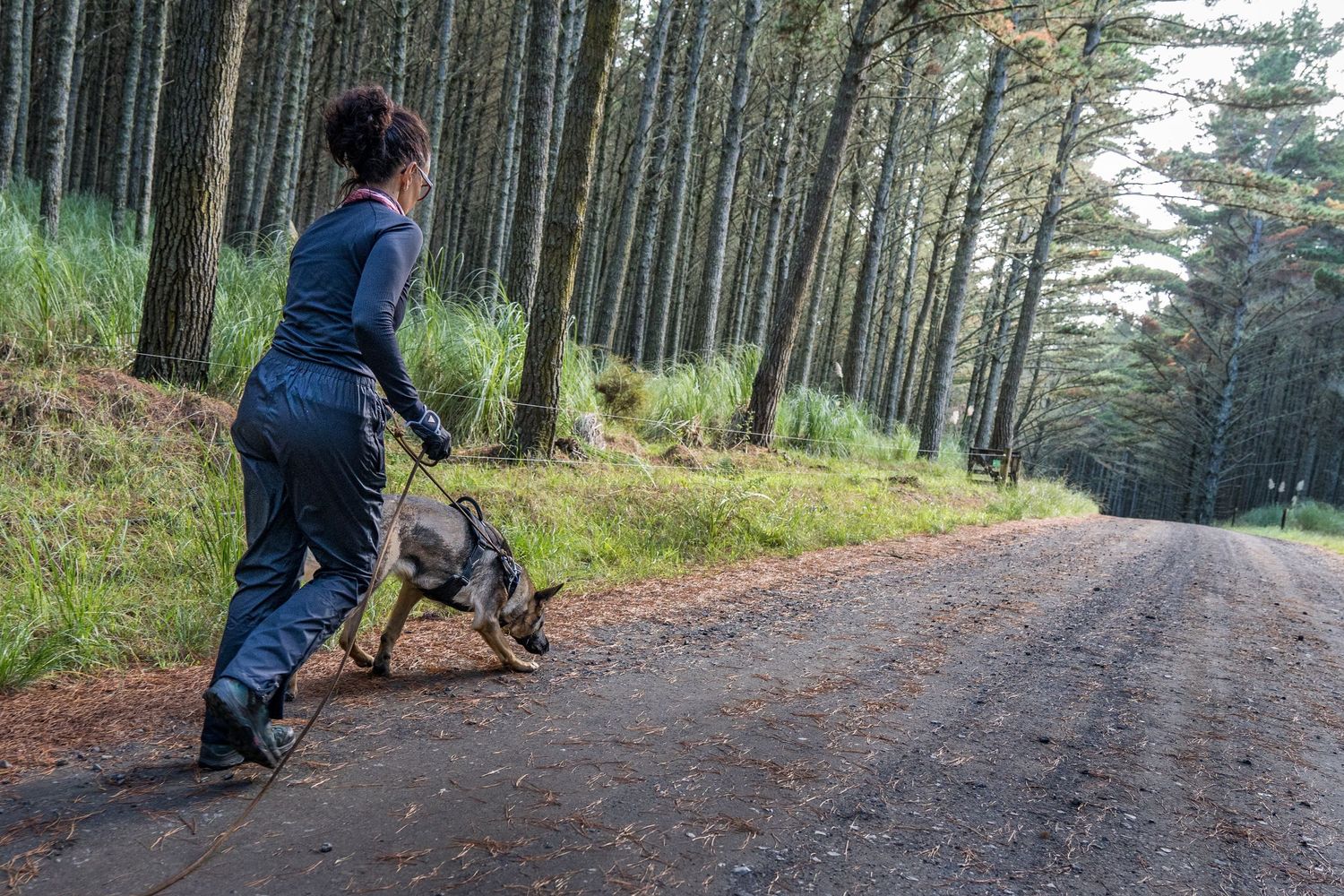A tracking team heading into action