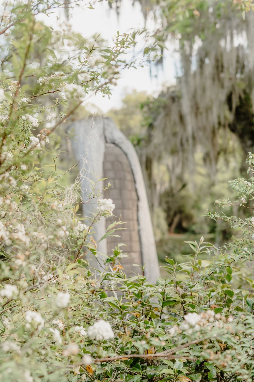 A white wedding dress hangs elegantly among Spanish moss and delicate white flowers in a dreamy garden setting.