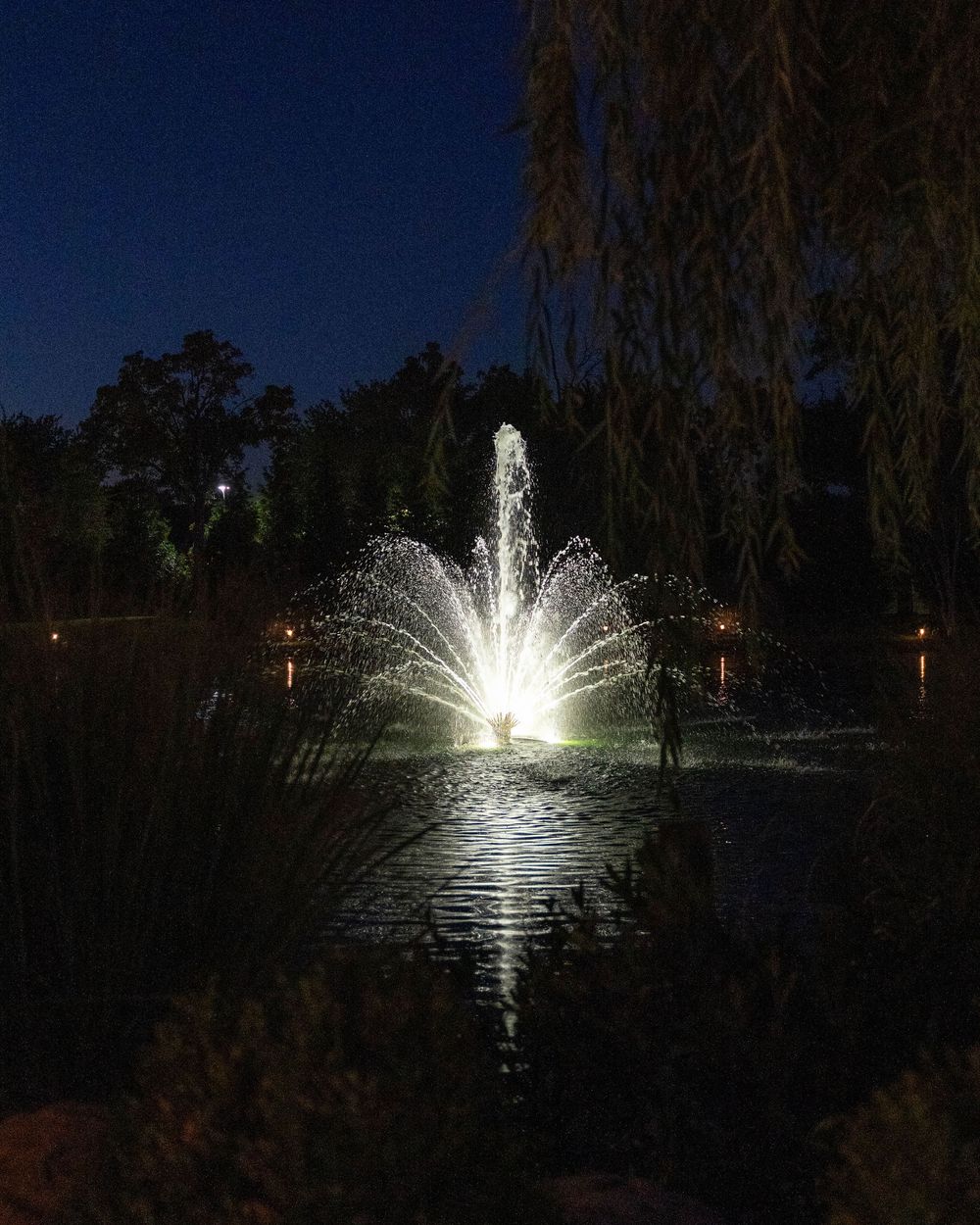 Illuminated fountain display in a pond at night creates a dramatic water show with bright white lights reflecting on dark water.