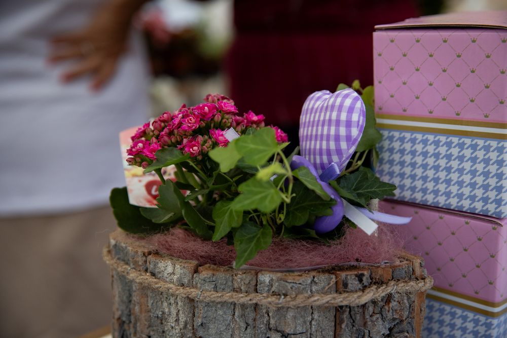 Plant Festival 2025, Xewkija Gozo Malta
