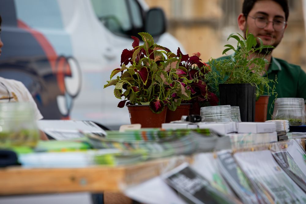Plant Festival 2025, Xewkija Gozo Malta