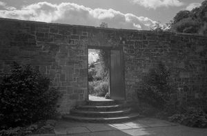 sunlit garden door and view