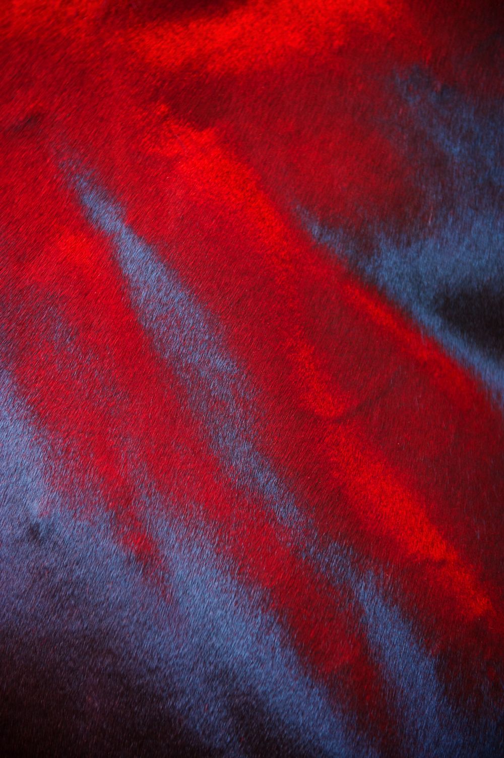 Abstract pattern of red and blue fabric with dramatic lighting and textured appearance.