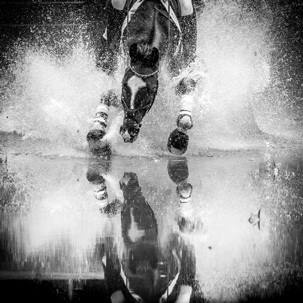 Black and white reflection of horse hooves splashing through water.