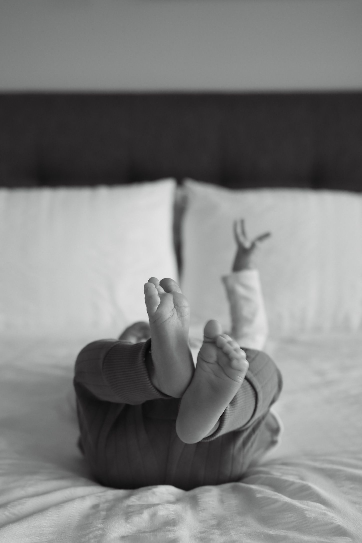 Faith McIlroy Photography baby